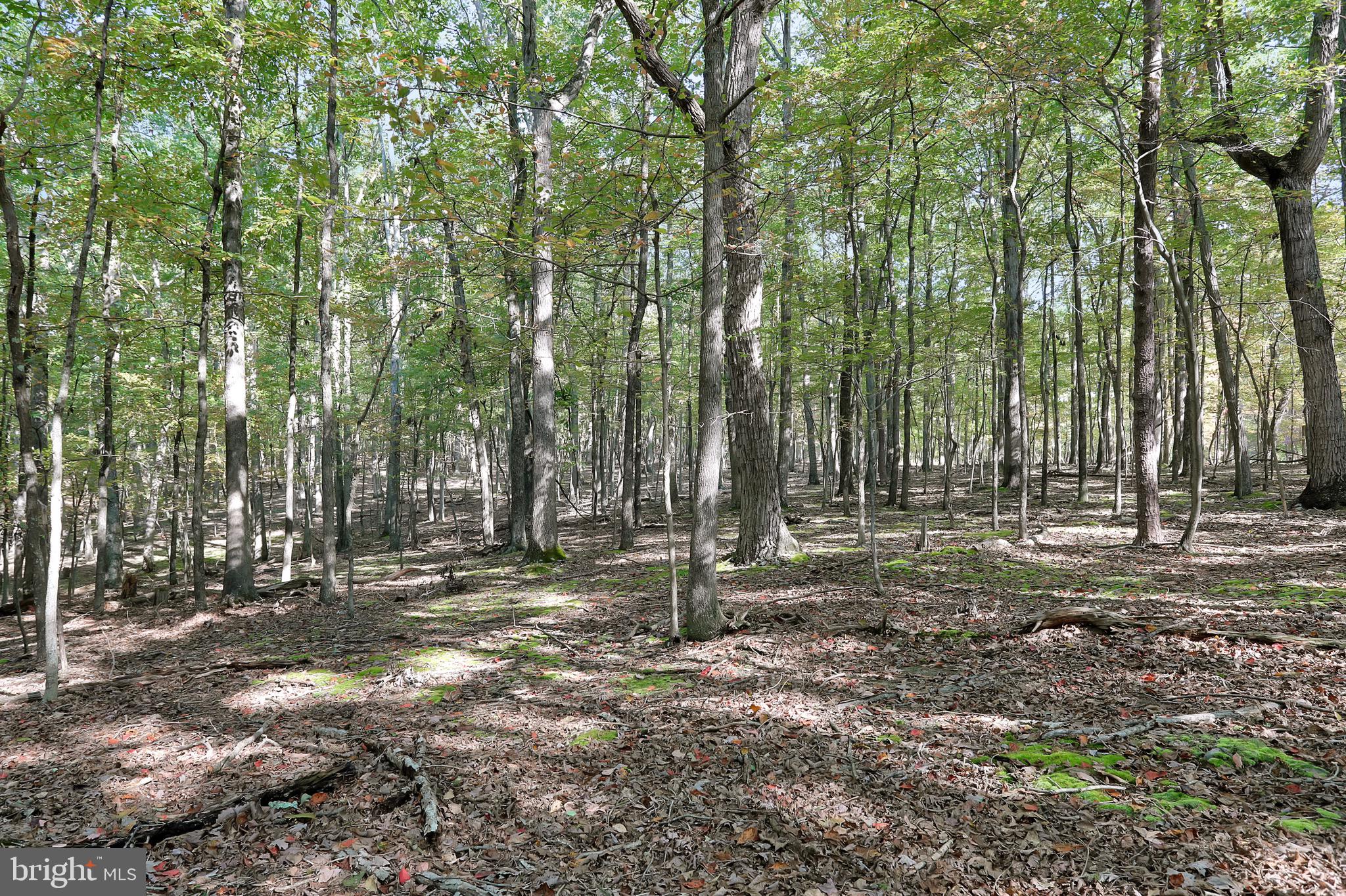 RIVER RIDGE SUBDIVISION - Residential