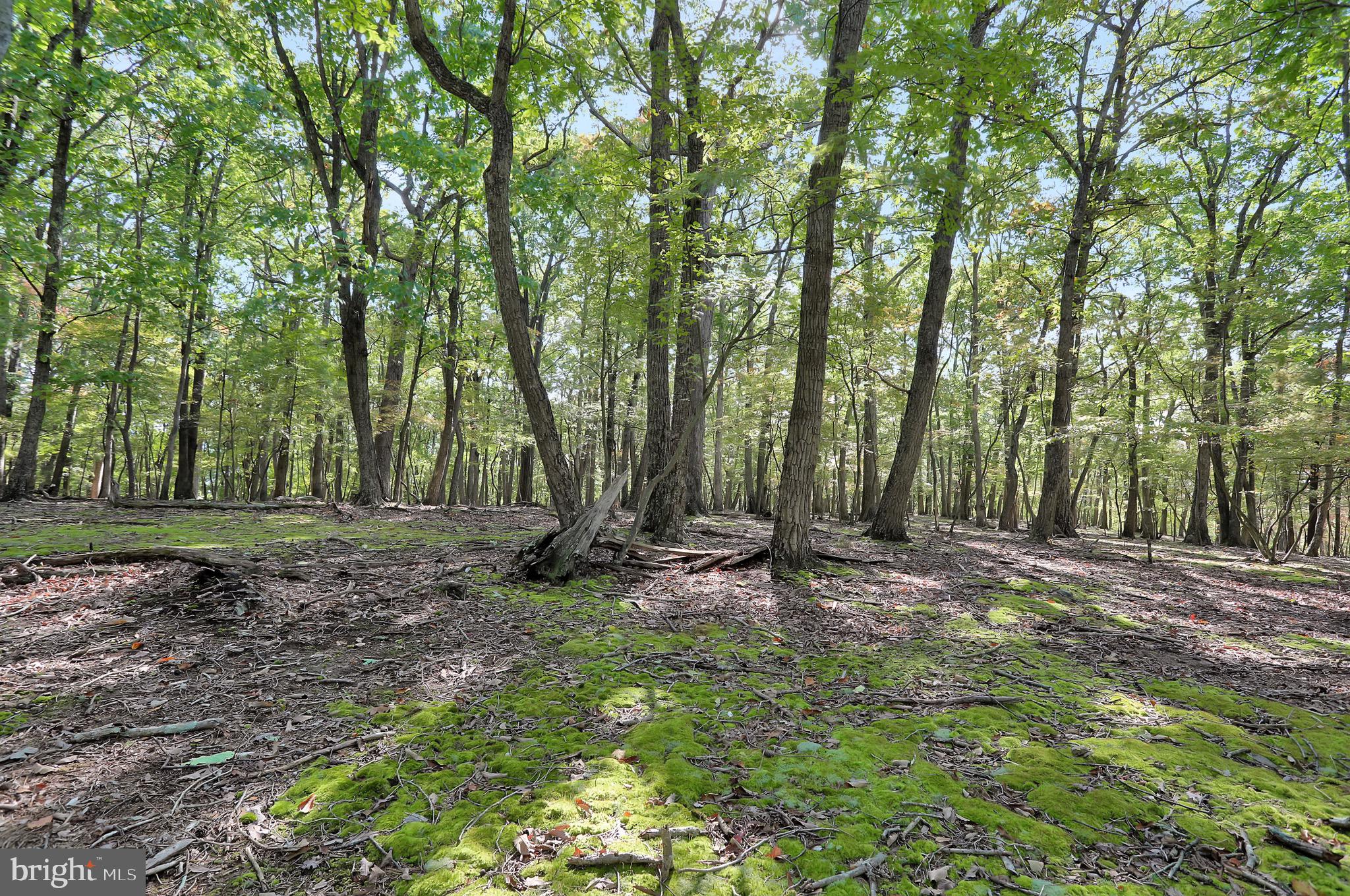 RIVER RIDGE SUBDIVISION - Residential