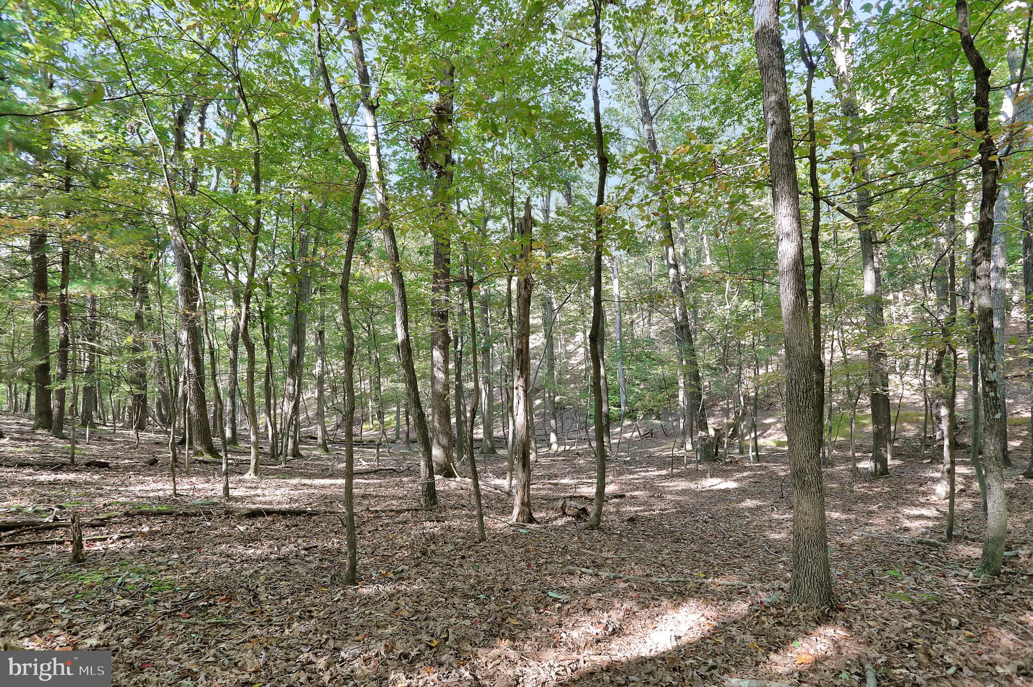 RIVER RIDGE SUBDIVISION - Residential