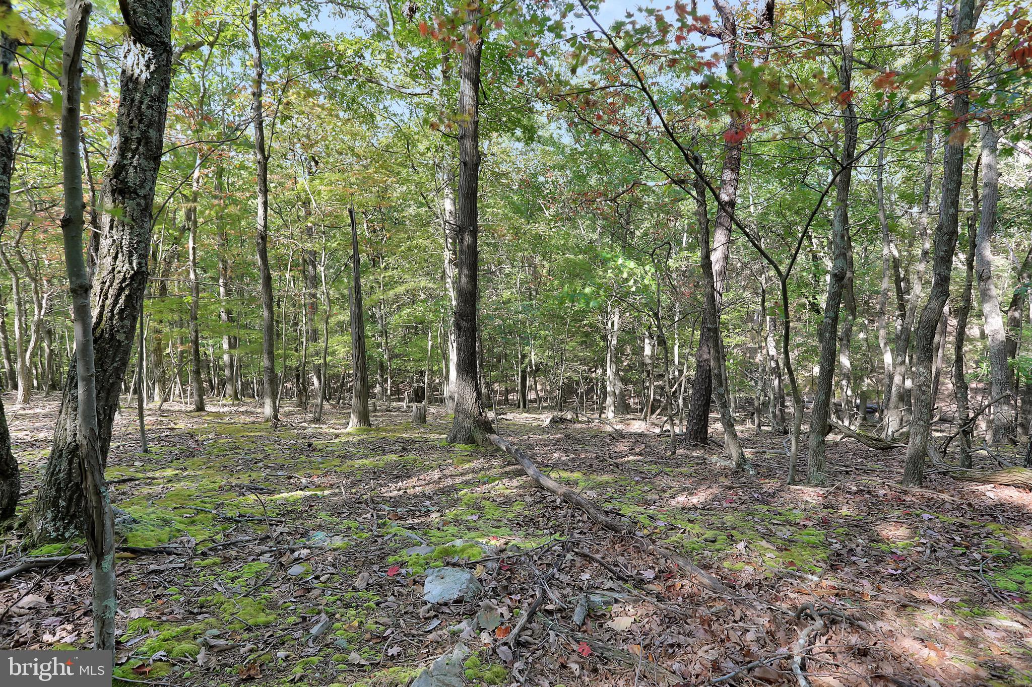 RIVER RIDGE SUBDIVISION - Residential