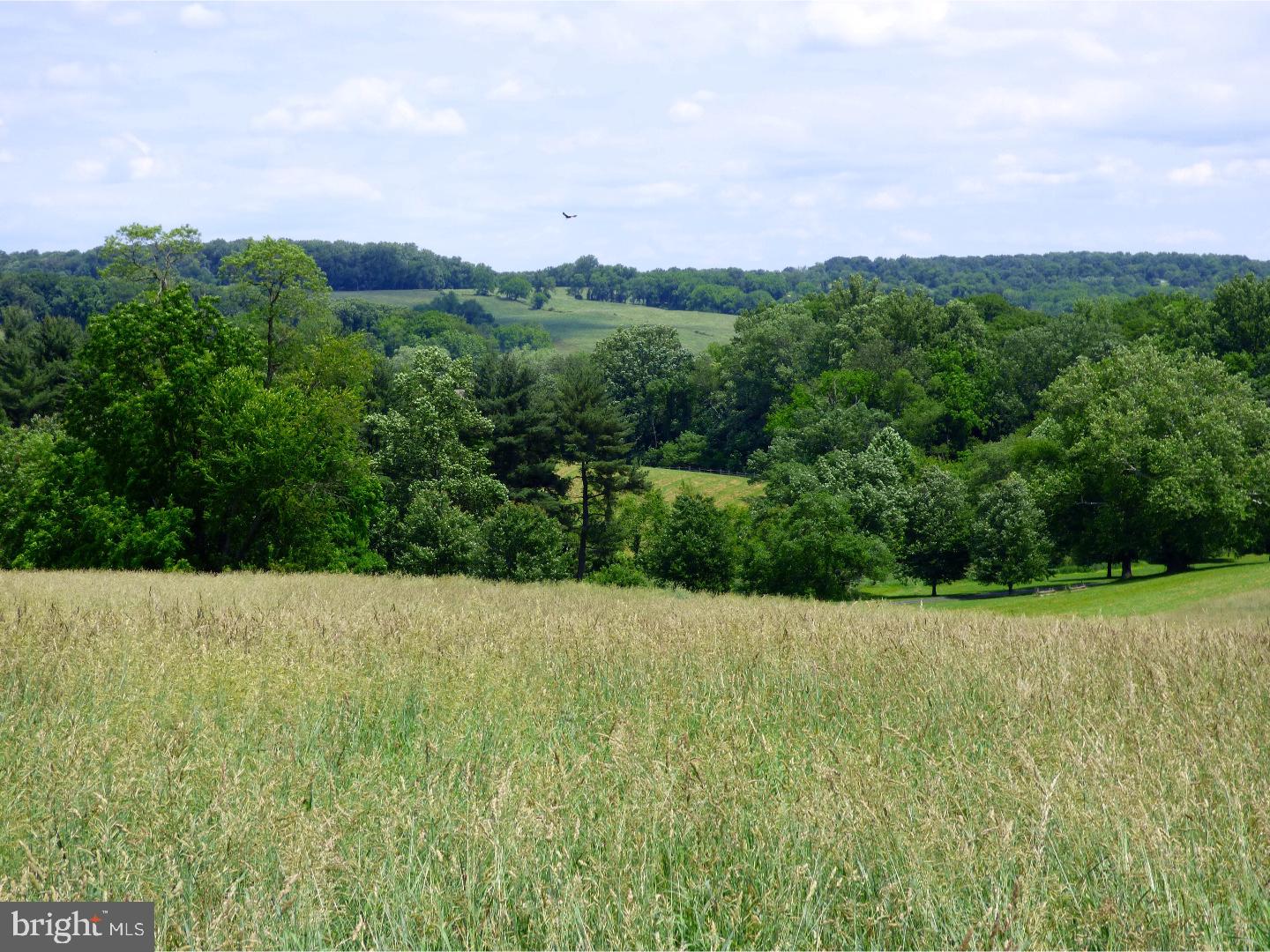 CHESHIRE HUNT - Land