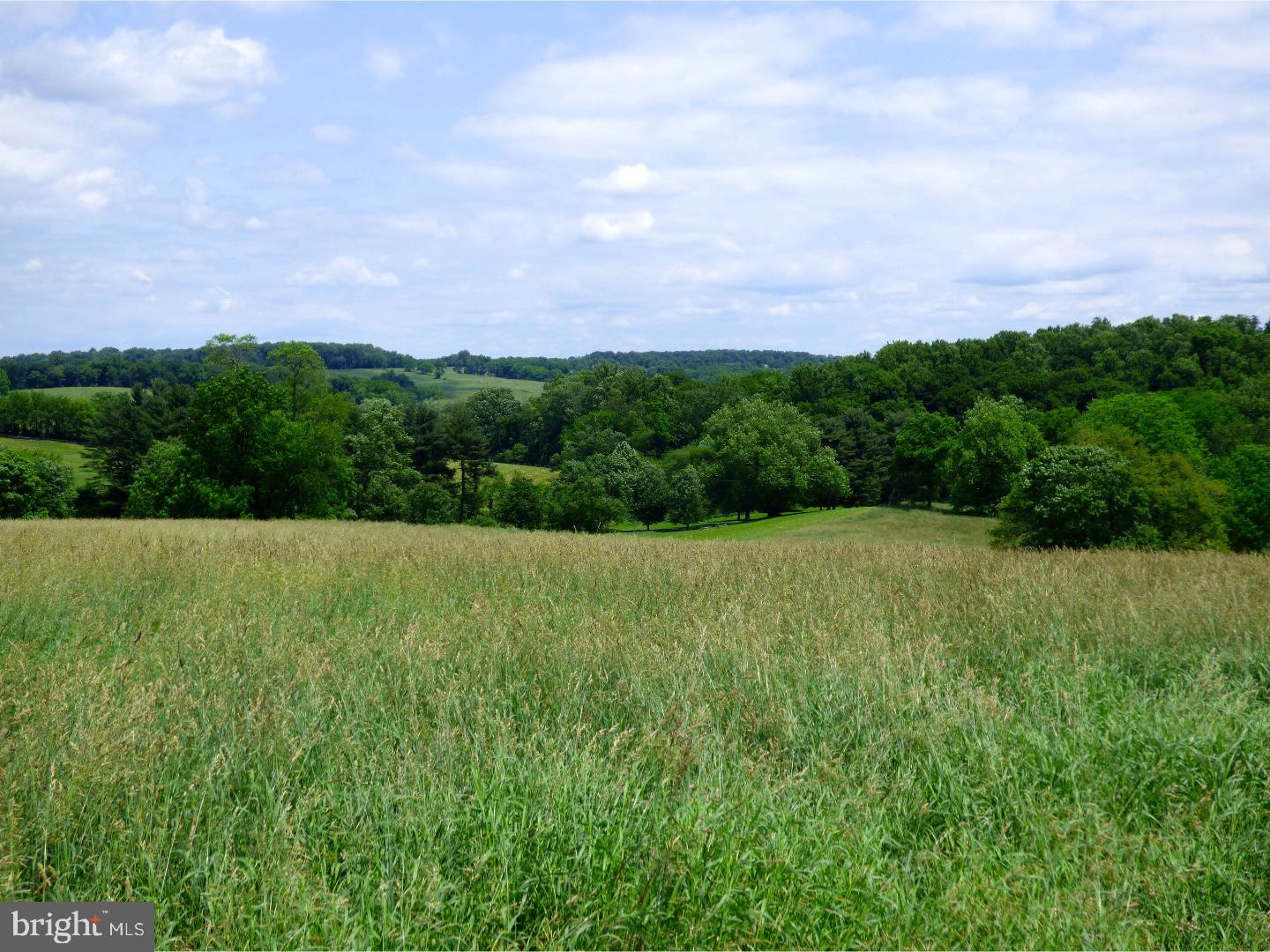 CHESHIRE HUNT - Land