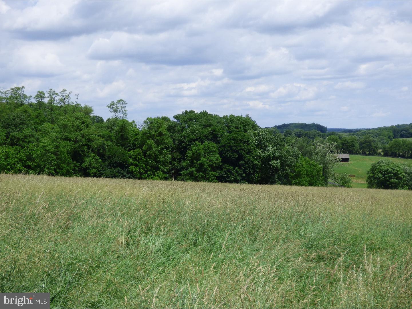 CHESHIRE HUNT - Land