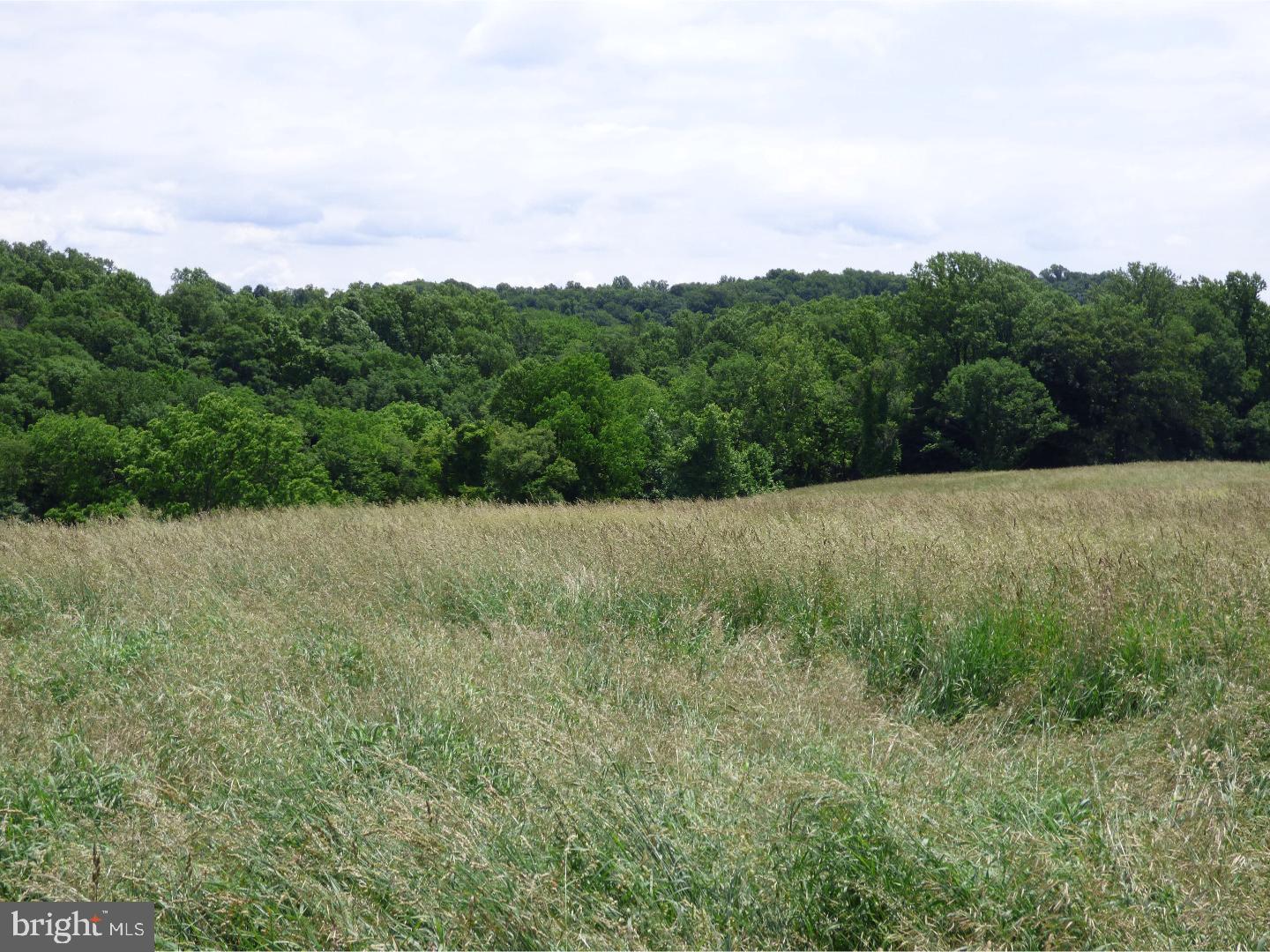 CHESHIRE HUNT - Land