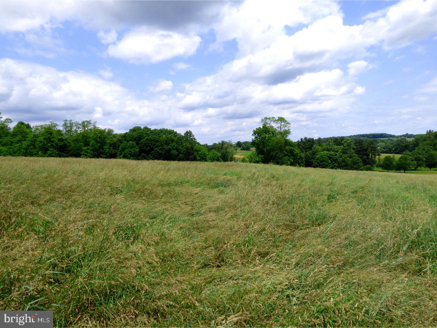 CHESHIRE HUNT - Land