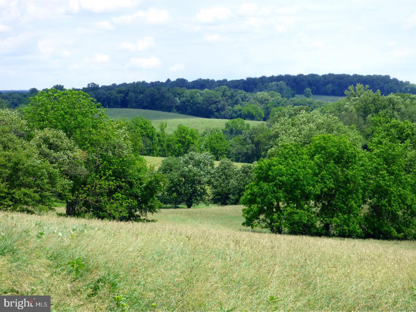 CHESHIRE HUNT - Land
