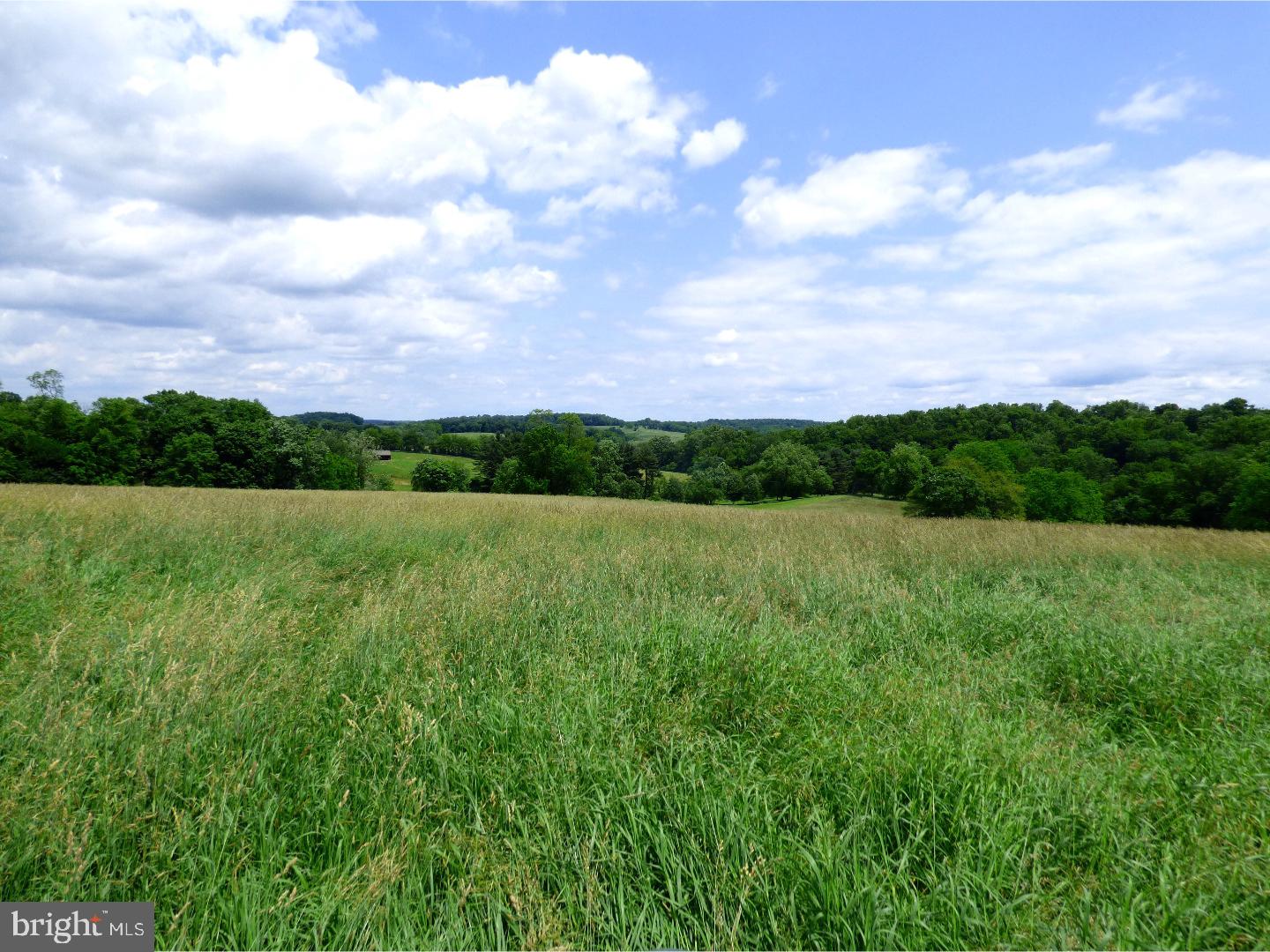 CHESHIRE HUNT - Land