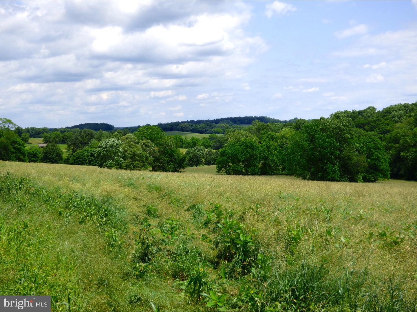 CHESHIRE HUNT - Land