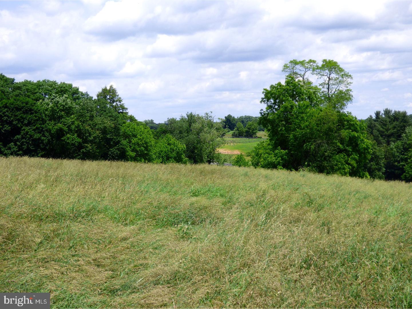 CHESHIRE HUNT - Land