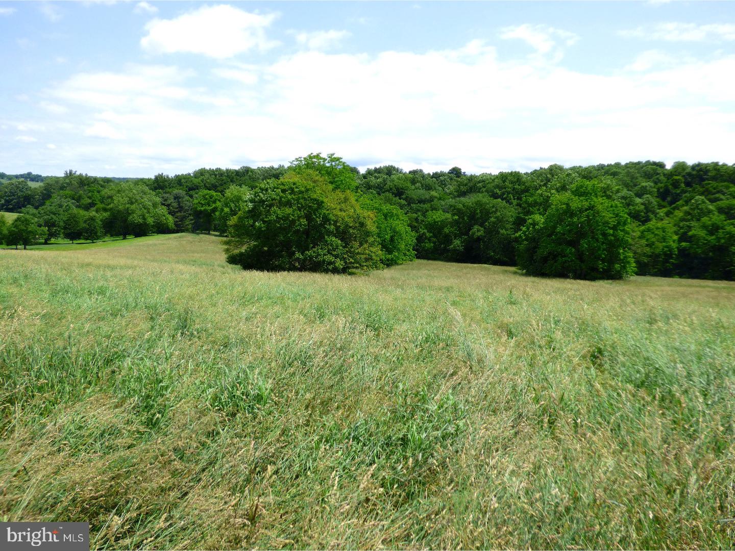 CHESHIRE HUNT - Land