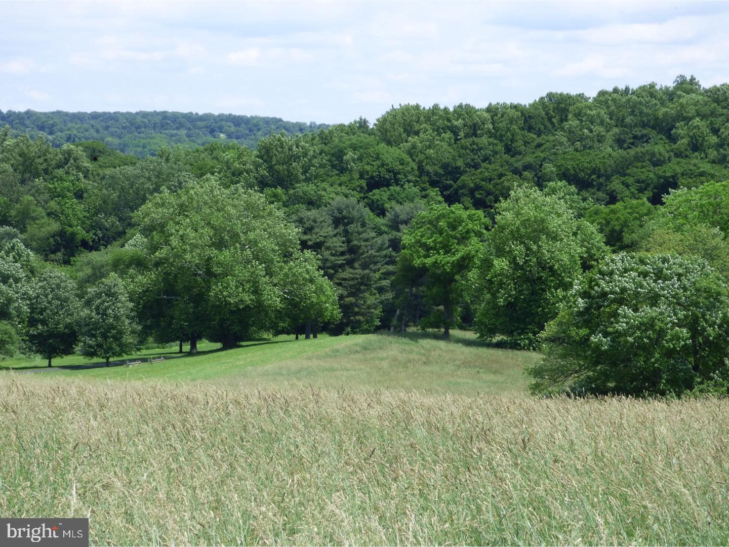 CHESHIRE HUNT - Land