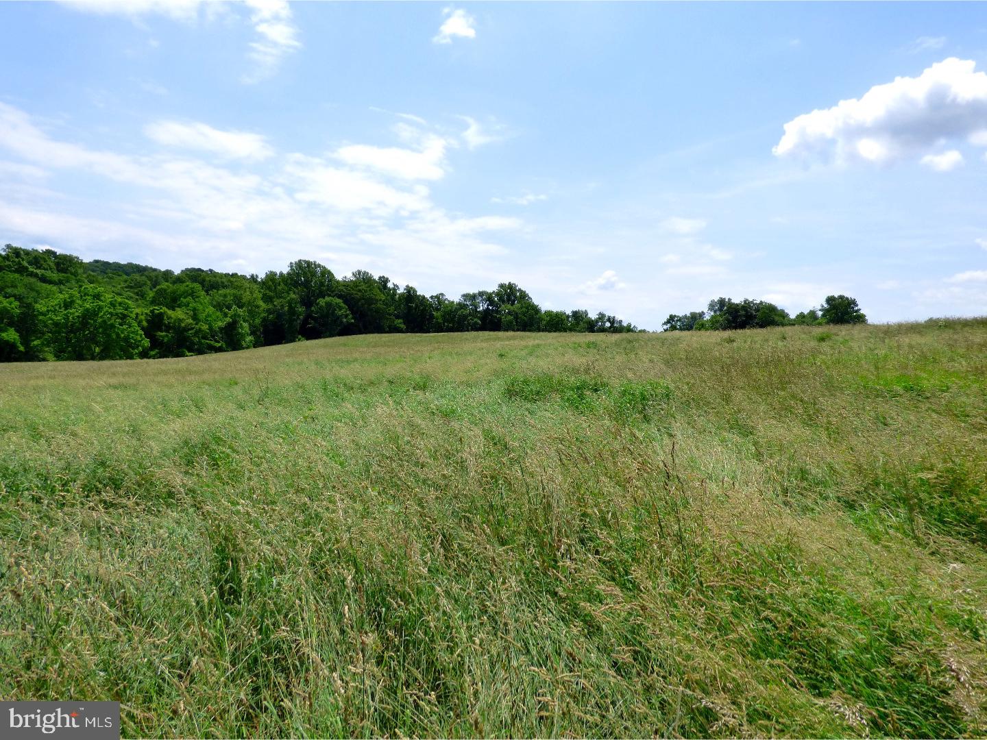 CHESHIRE HUNT - Land