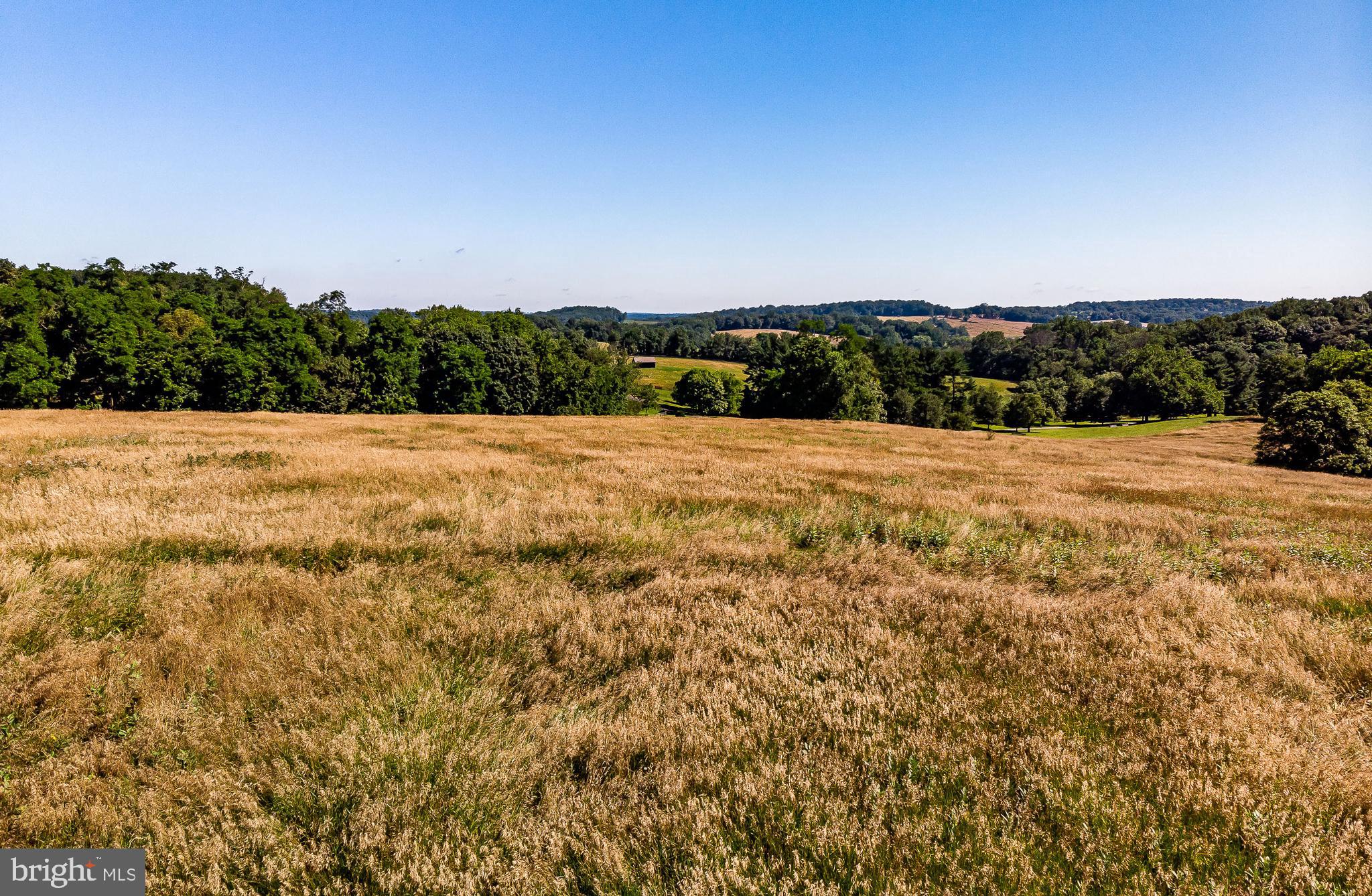 CHESHIRE HUNT - Land