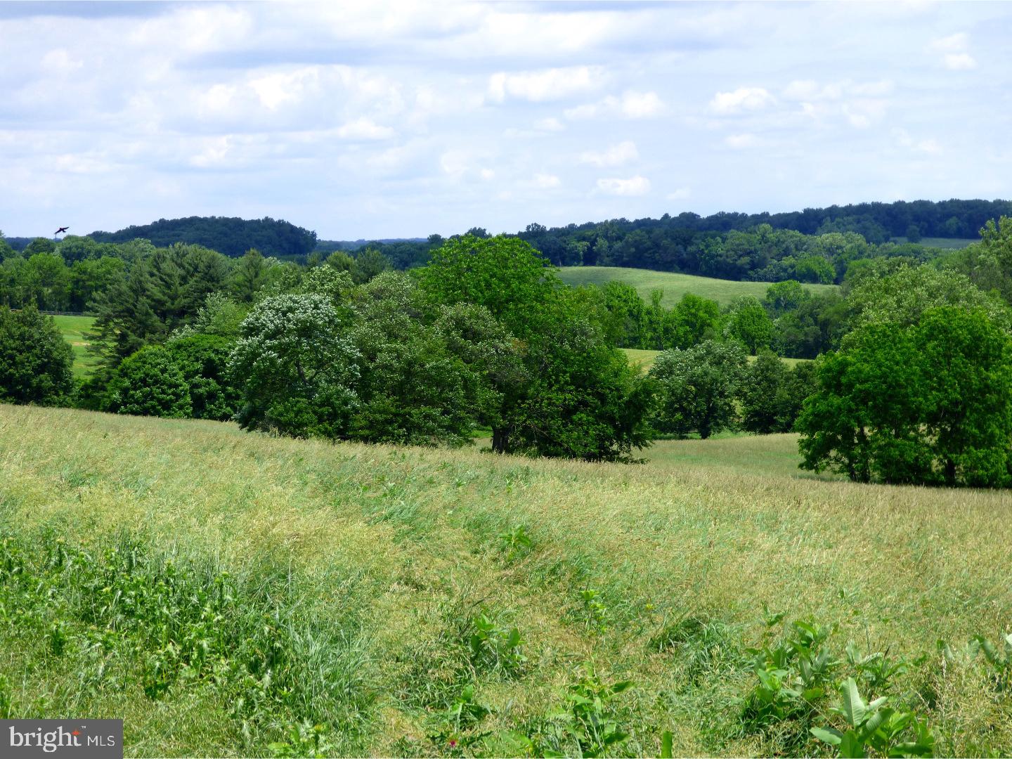 CHESHIRE HUNT - Land