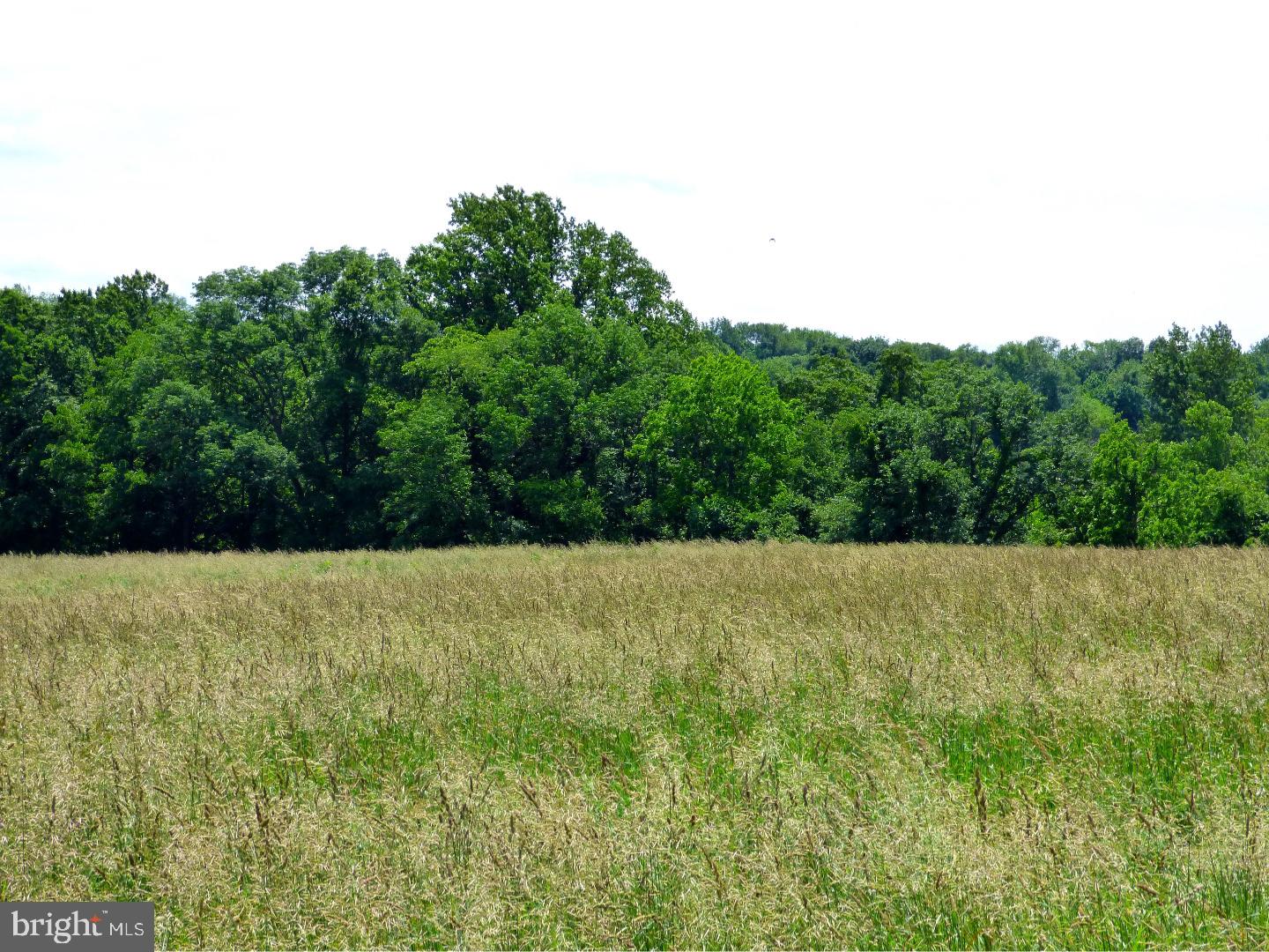 CHESHIRE HUNT - Land