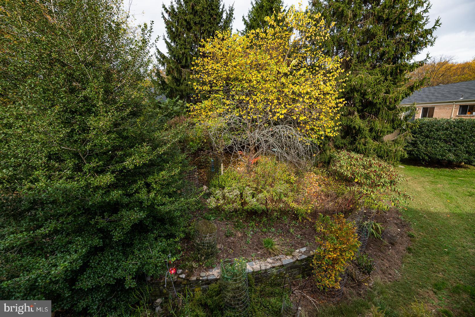 PARKSIDE CONDOMINIUMS - Residential Lease