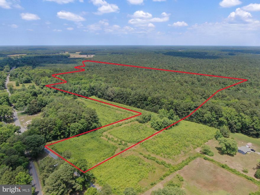 40 acre parcel with road frontage on Post Office Road in Eden, MD. The property consists of 6+/- acres of shrubs and grasses and 32+/- timber acres. Timber stand is a healthy mix of pine with some hardwoods. Contact listing agent prior to visiting the property. Property is NOT subject to any conservation easements or farm bill programs.