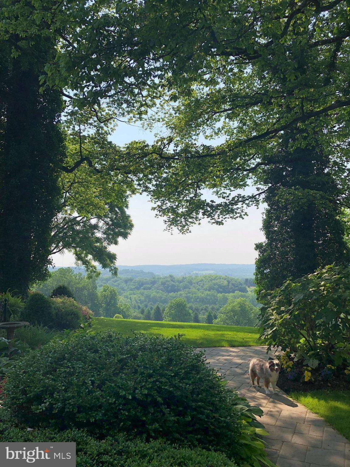 WORTHINGTON VALLEY - Residential