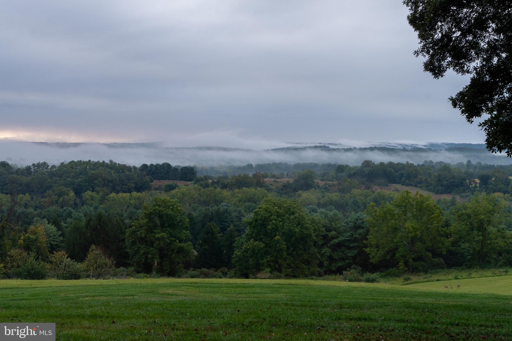 WORTHINGTON VALLEY - Residential