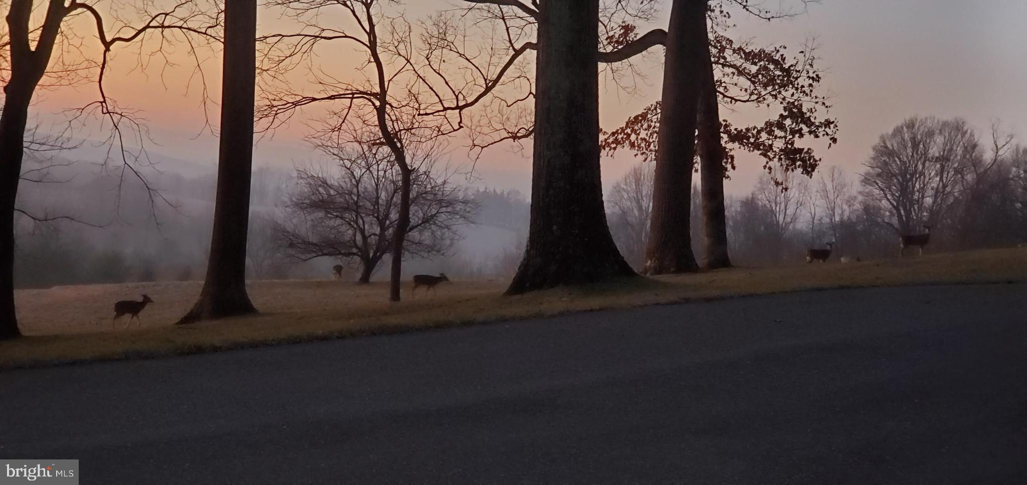 WORTHINGTON VALLEY - Residential