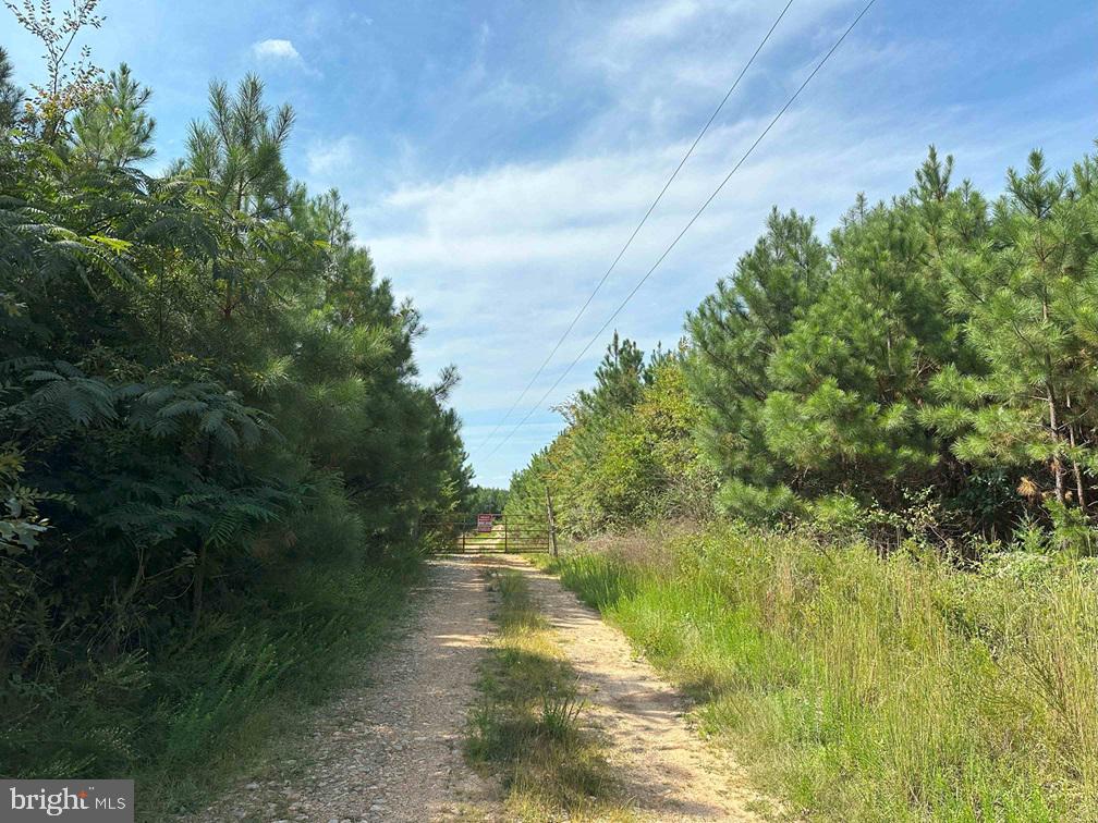 CUMBERLAND RD. (ST. RT. 45) (TRACT GUINEA MILLS-1)