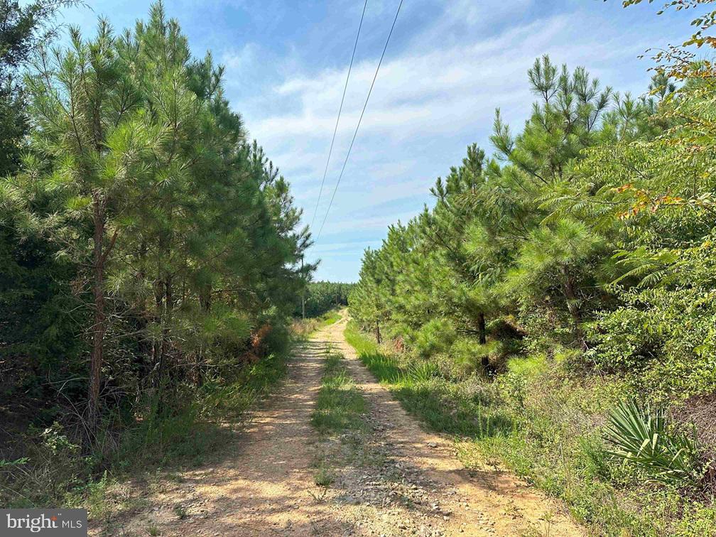 CUMBERLAND RD. (ST. RT. 45) (TRACT GUINEA MILLS-1)