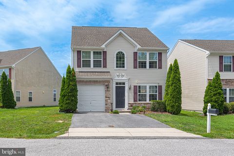 157 BOBBYS BRANCH ROAD 25 MILLSBORO DE 19966