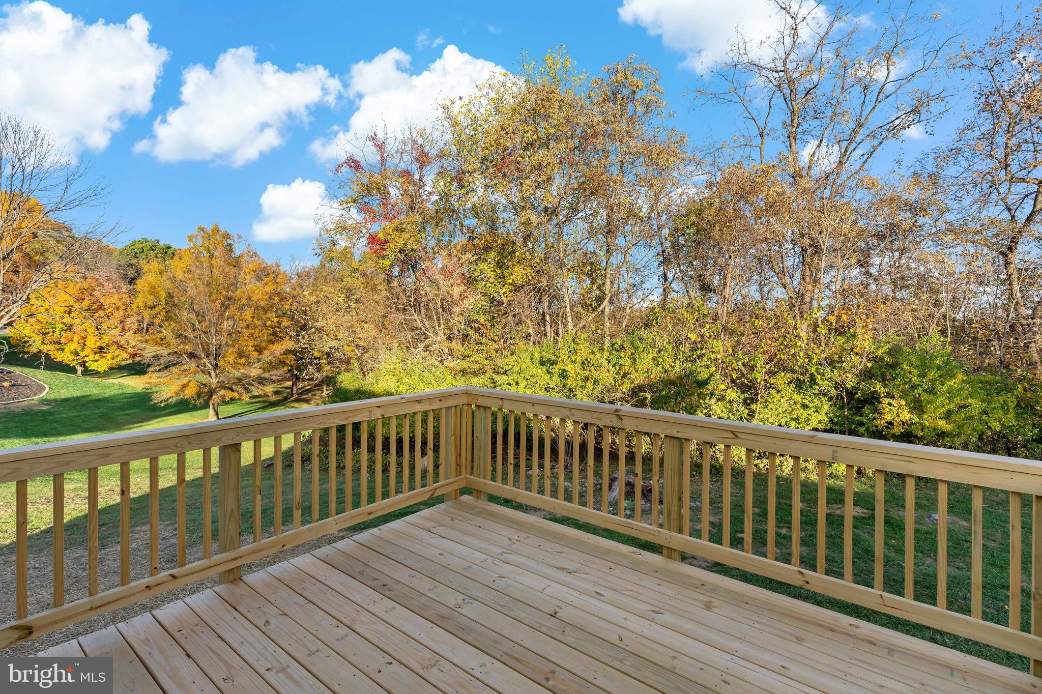 CHESTNUT RIDGE - Residential