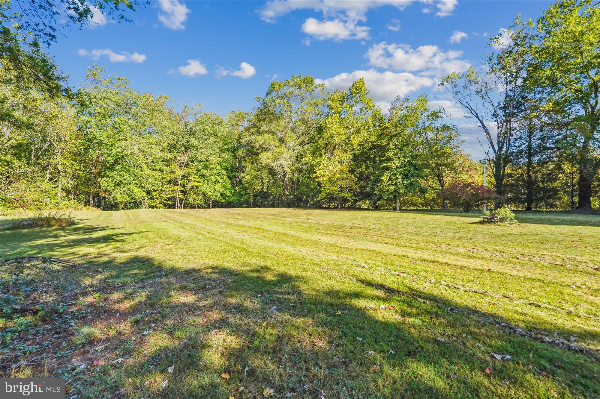 FOREST PARK - Residential