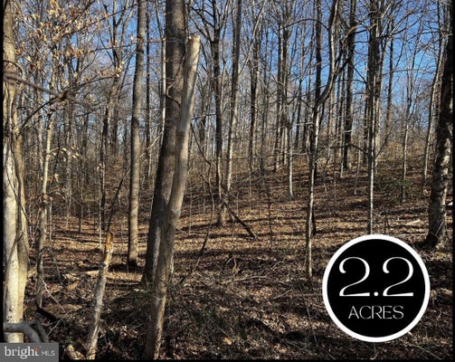 6299 MCKENDREE RD, DUNKIRK, MD 20754 - Image 7341d961635be8fdcc2e0a9cd0d2ae84/353063720
