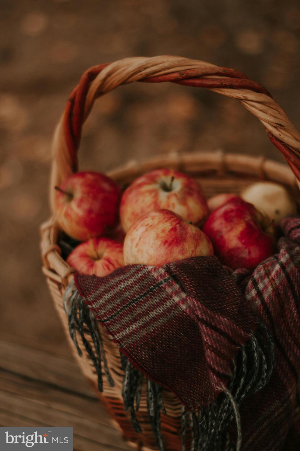 HEIDLERSBURG - Residential