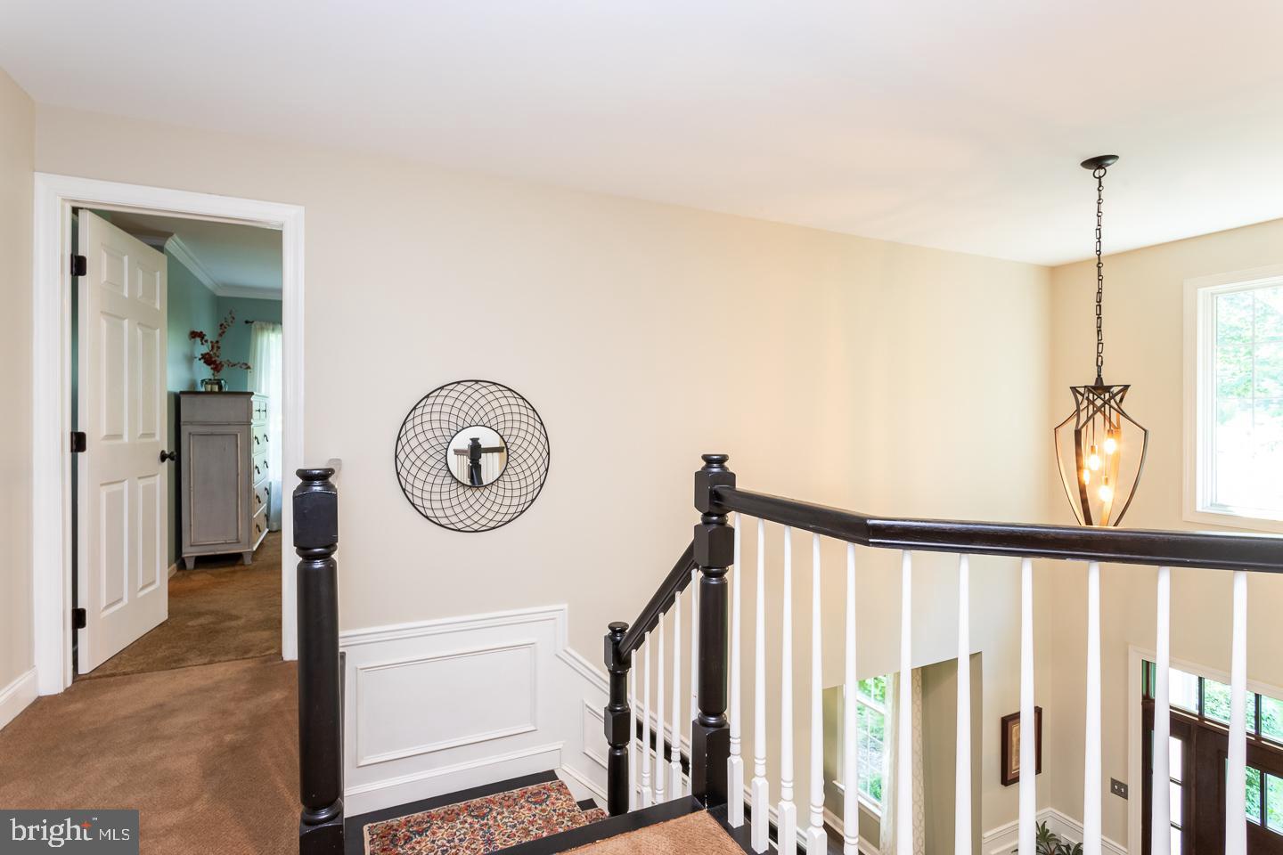 SOMERSET WATCH - Residential