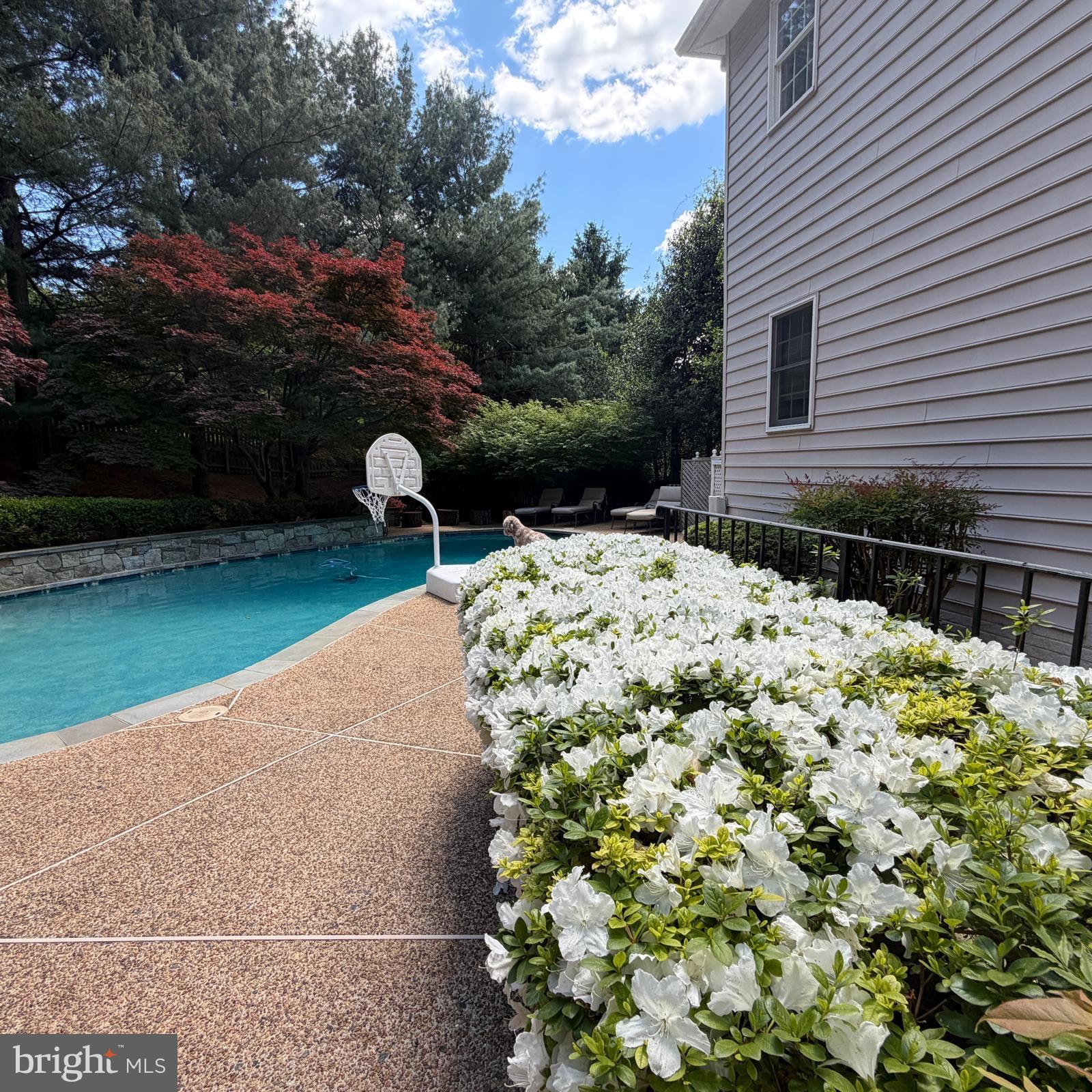 GREAT FALLS WOODS - Residential