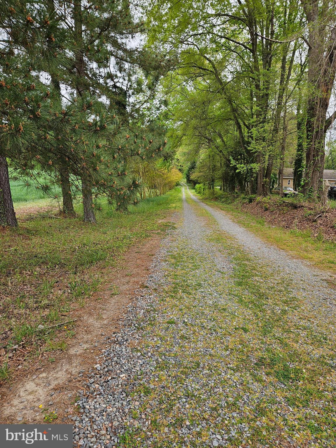 BOWLING GREEN - Residential Lease