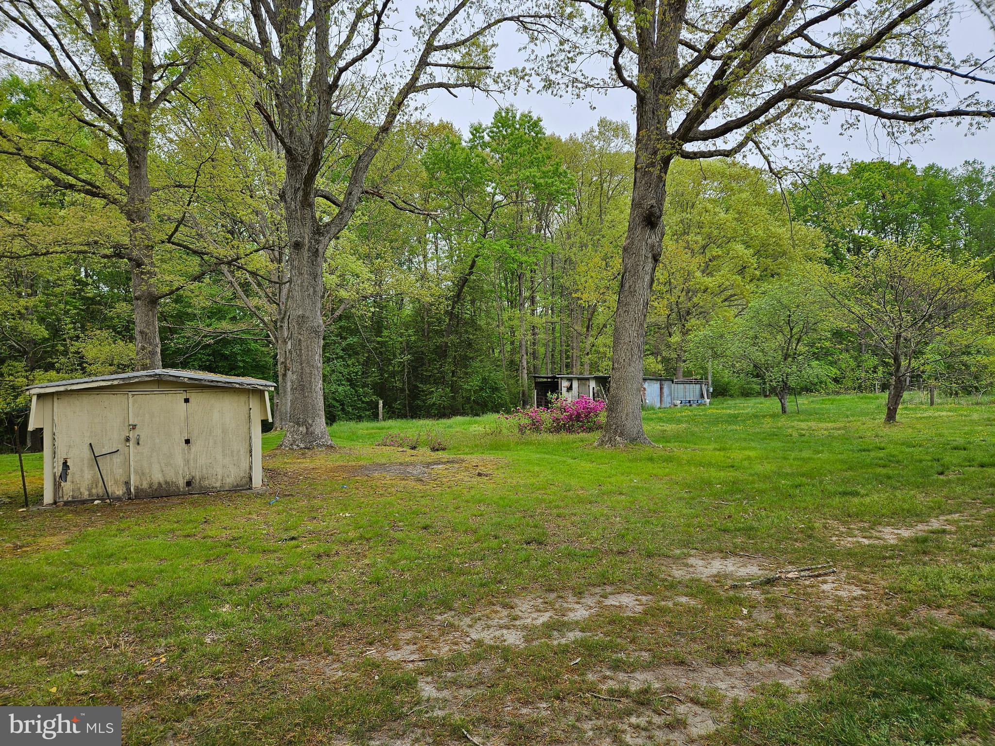 BOWLING GREEN - Residential Lease