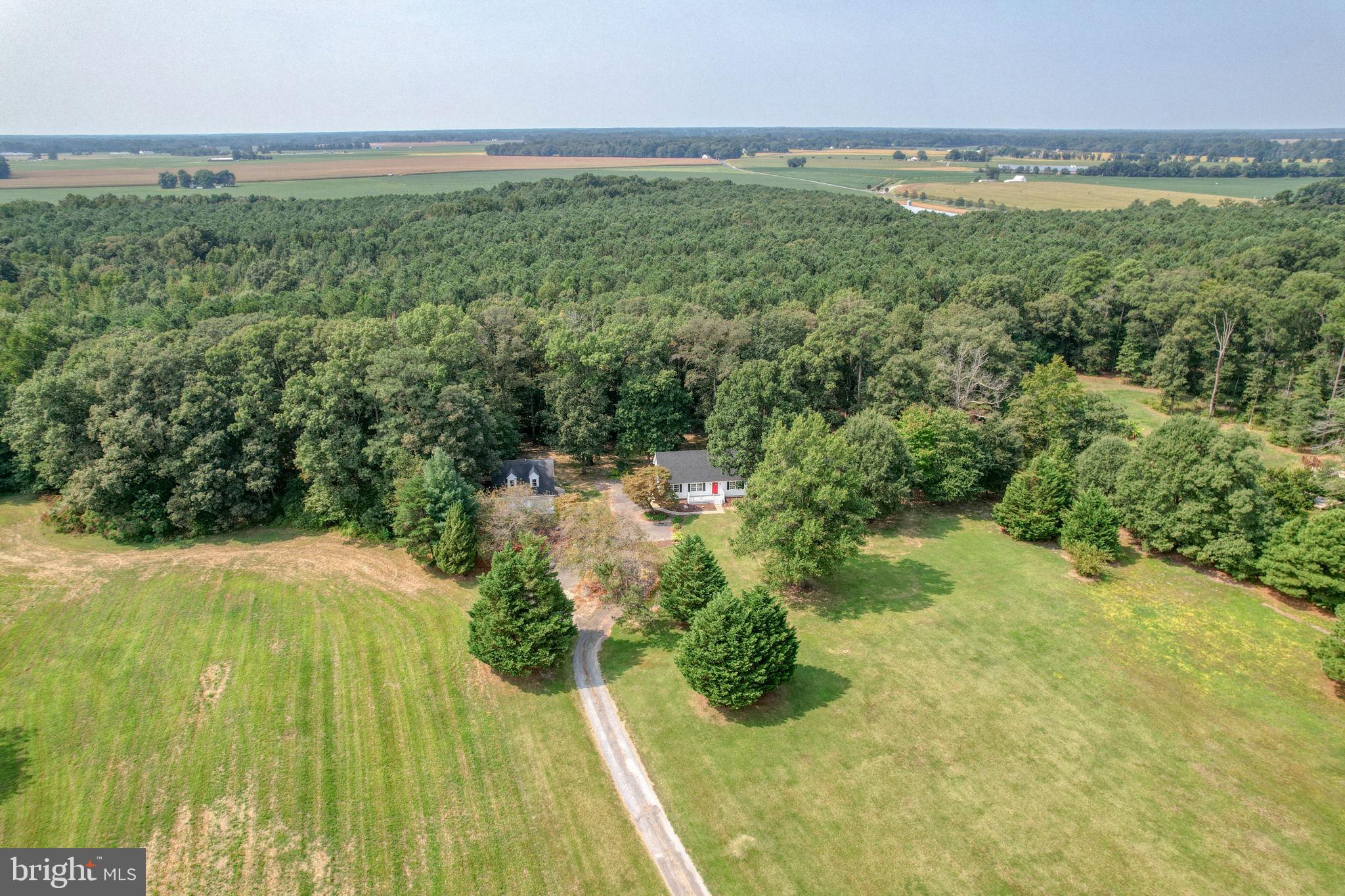 Welcome to Willow Pond Road. This property rests on 5 acres, including much open field ready for horses, goats, chickens, or plenty of space for large gardens or more. Home offers updates throughout including new roof, also has been freshly painted, and new LVP flooring throughout, new Mini split on 2nd floor. updated bathrooms and all new appliances. Enjoy the park-like setting of the back deck for entertaining. Need more space? Detached 2-car garage offers an apartment above it with a kitchen/ living room combo, bedroom, and full bathroom, excellent for extra family or income-producing. Professional photos 9/6