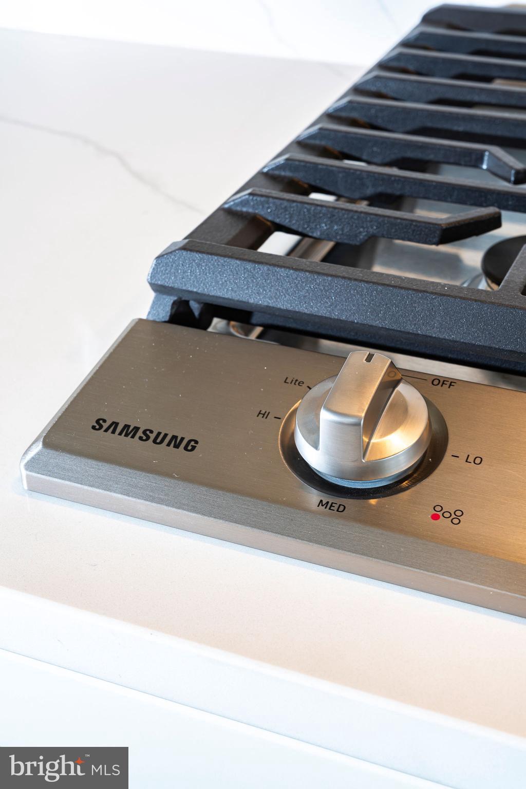 BIRCHWOOD AT BRAMBLETON - Residential