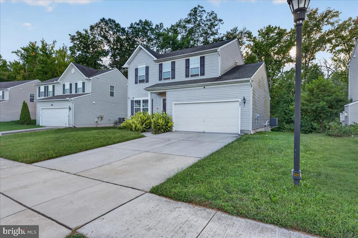 397 BOGGS RUN
