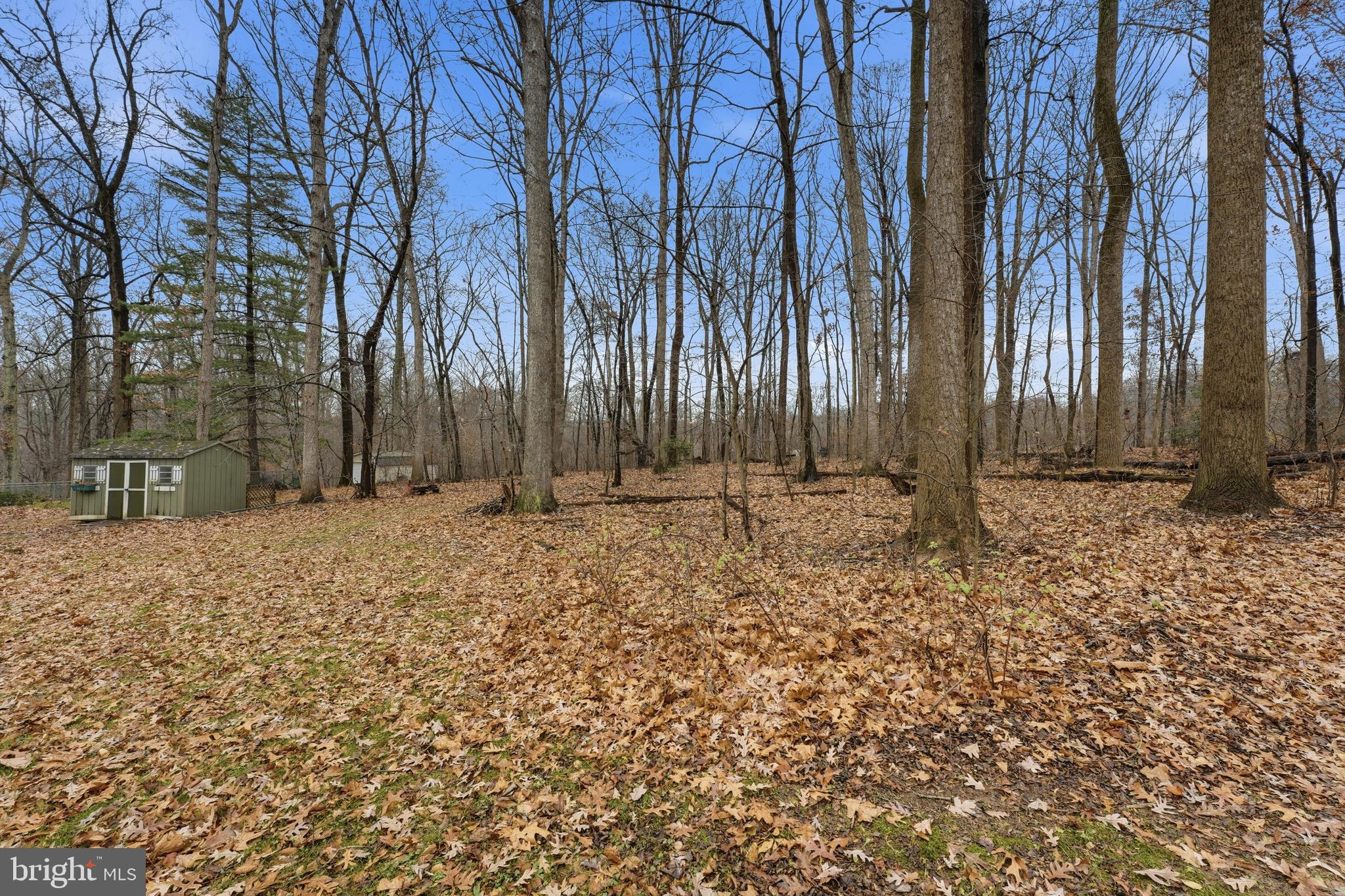 NORRIS RUN WOODS - Residential