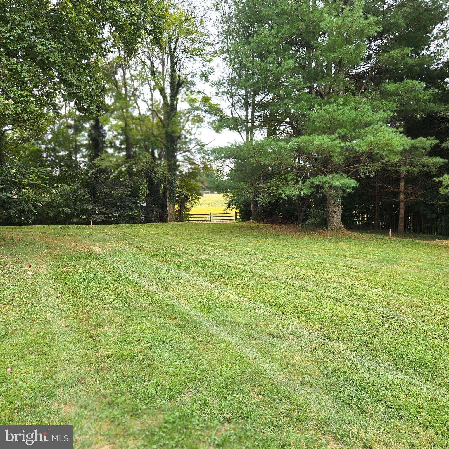 WASHINGTON VIRGINIA - Residential