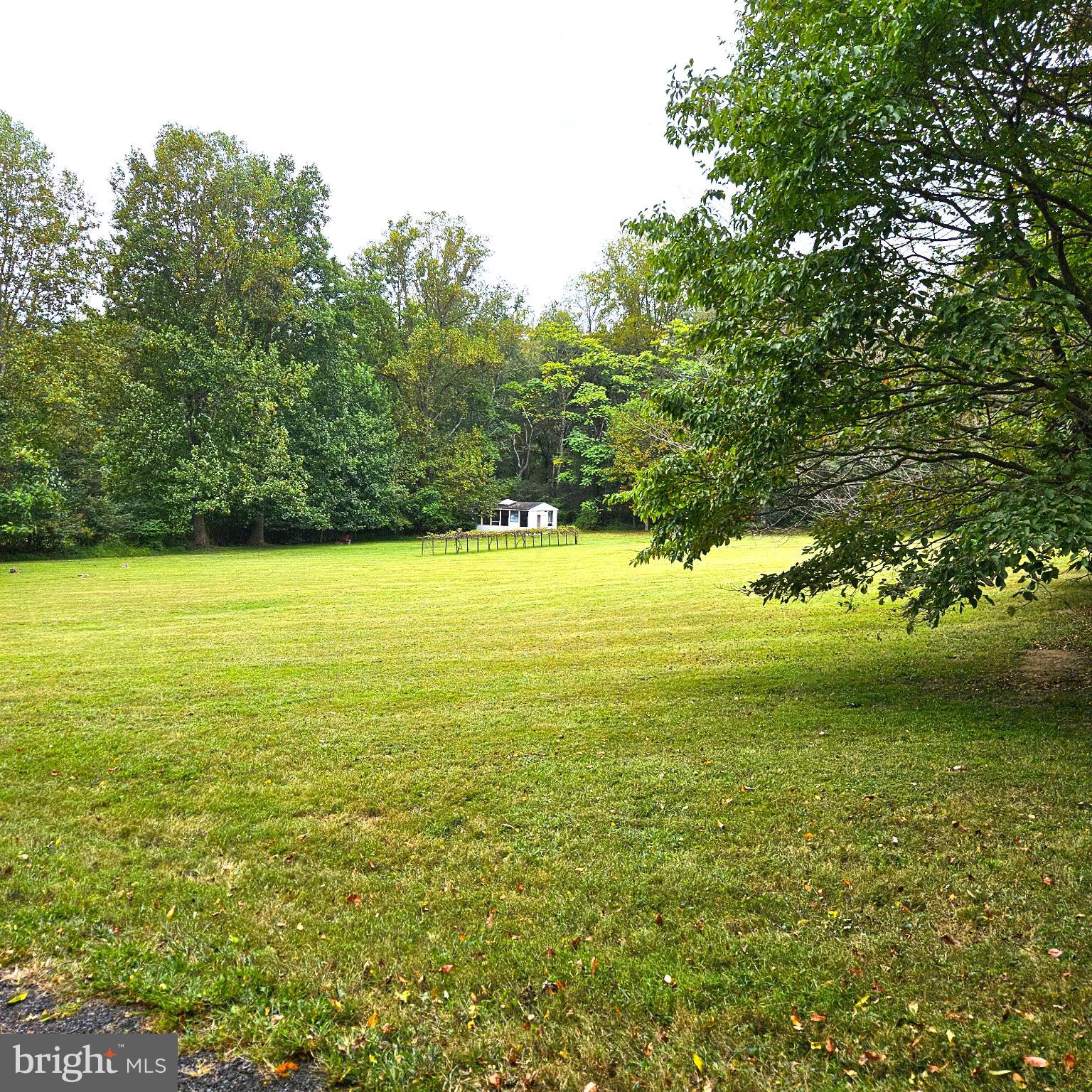 WASHINGTON VIRGINIA - Residential