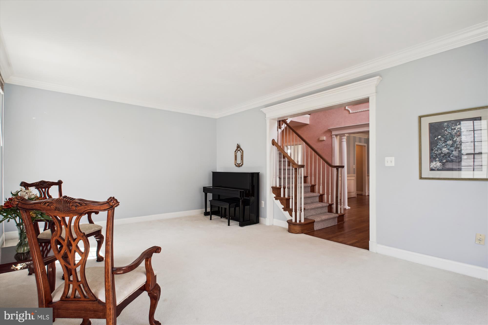 WILLOWS OF POTOMAC - Residential