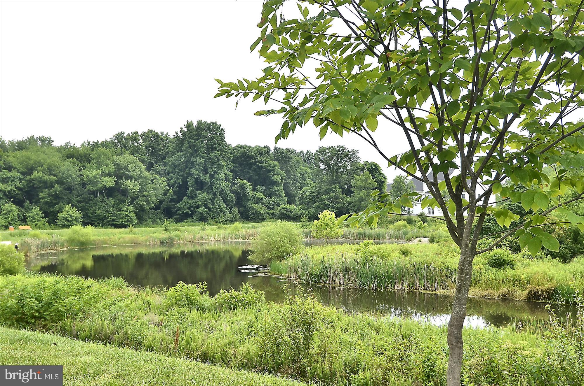 WILLOWS OF POTOMAC - Residential