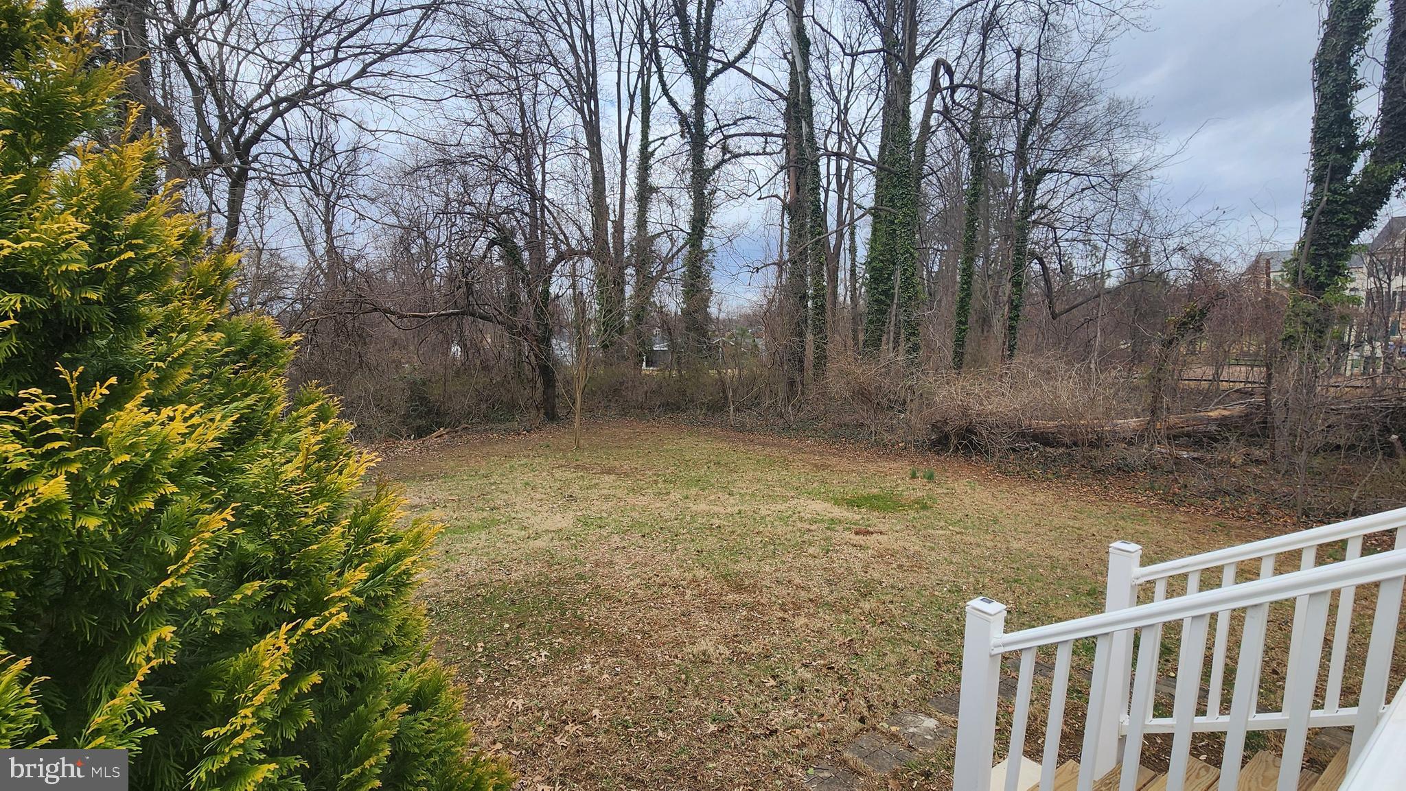 BRIGHTLEAF - Residential