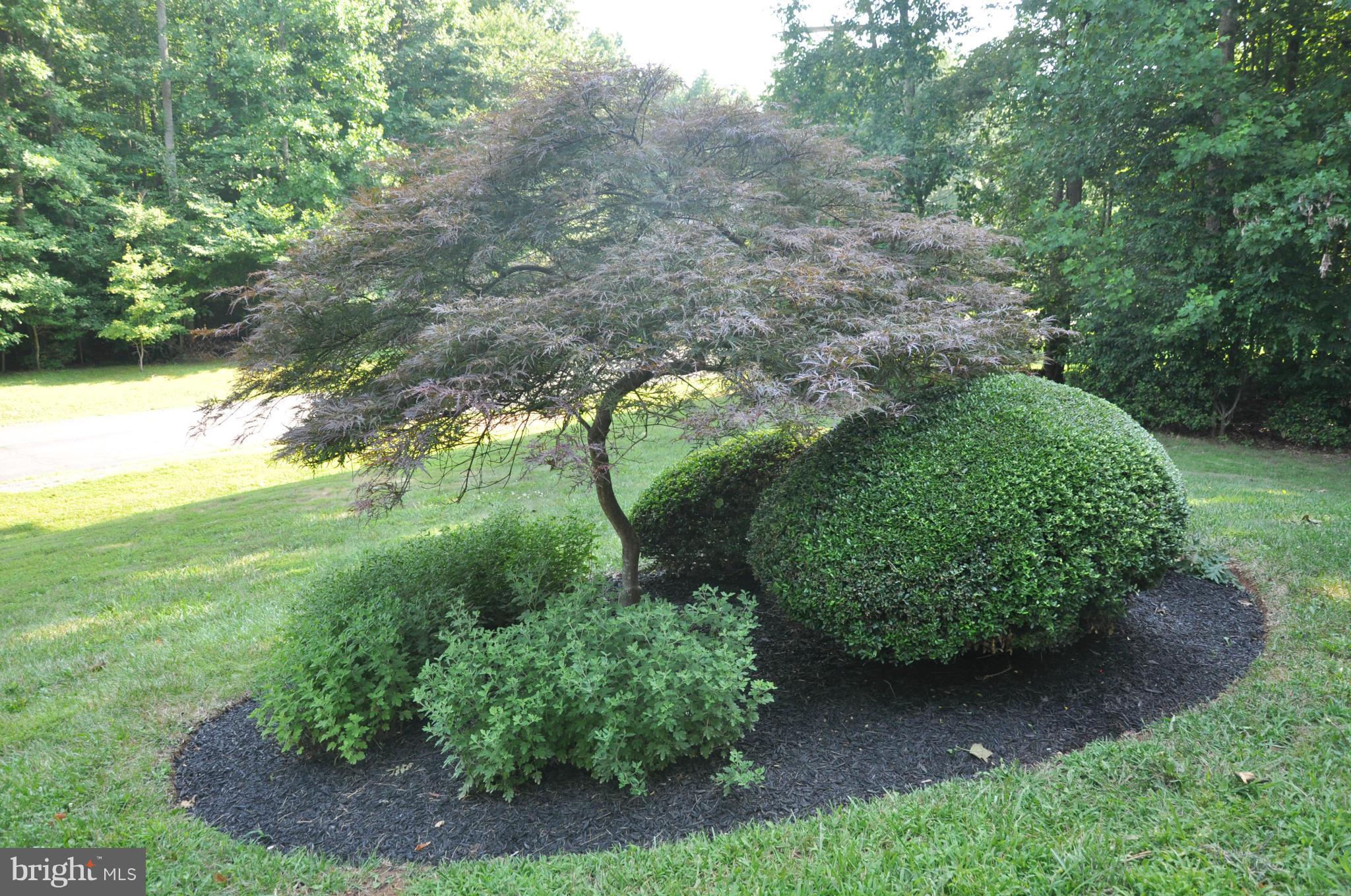 BARRINGTON OAKS - Residential