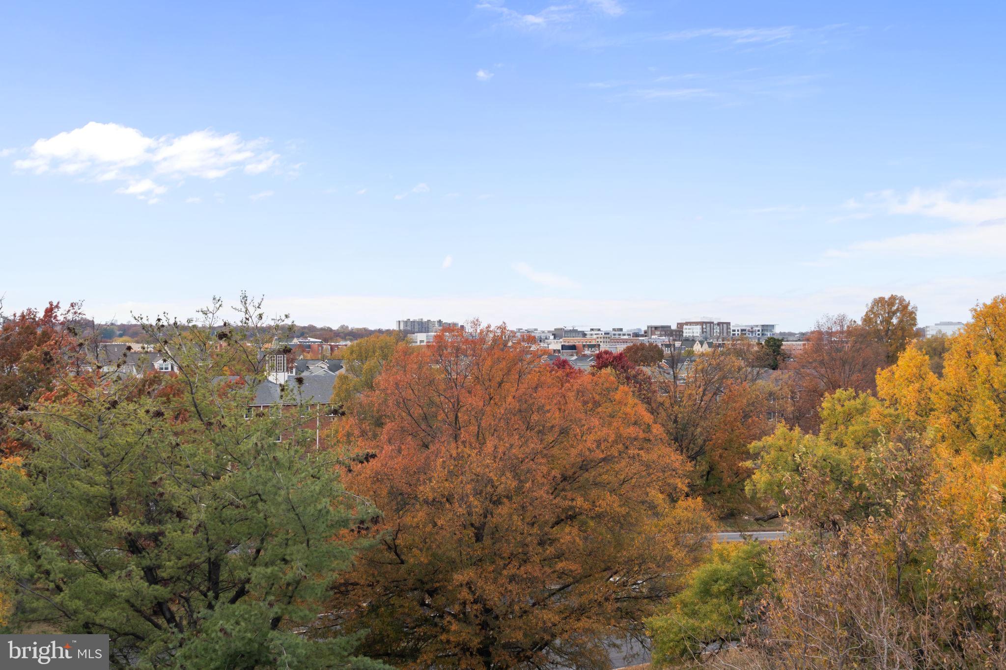 OLD TOWN NORTH - Residential