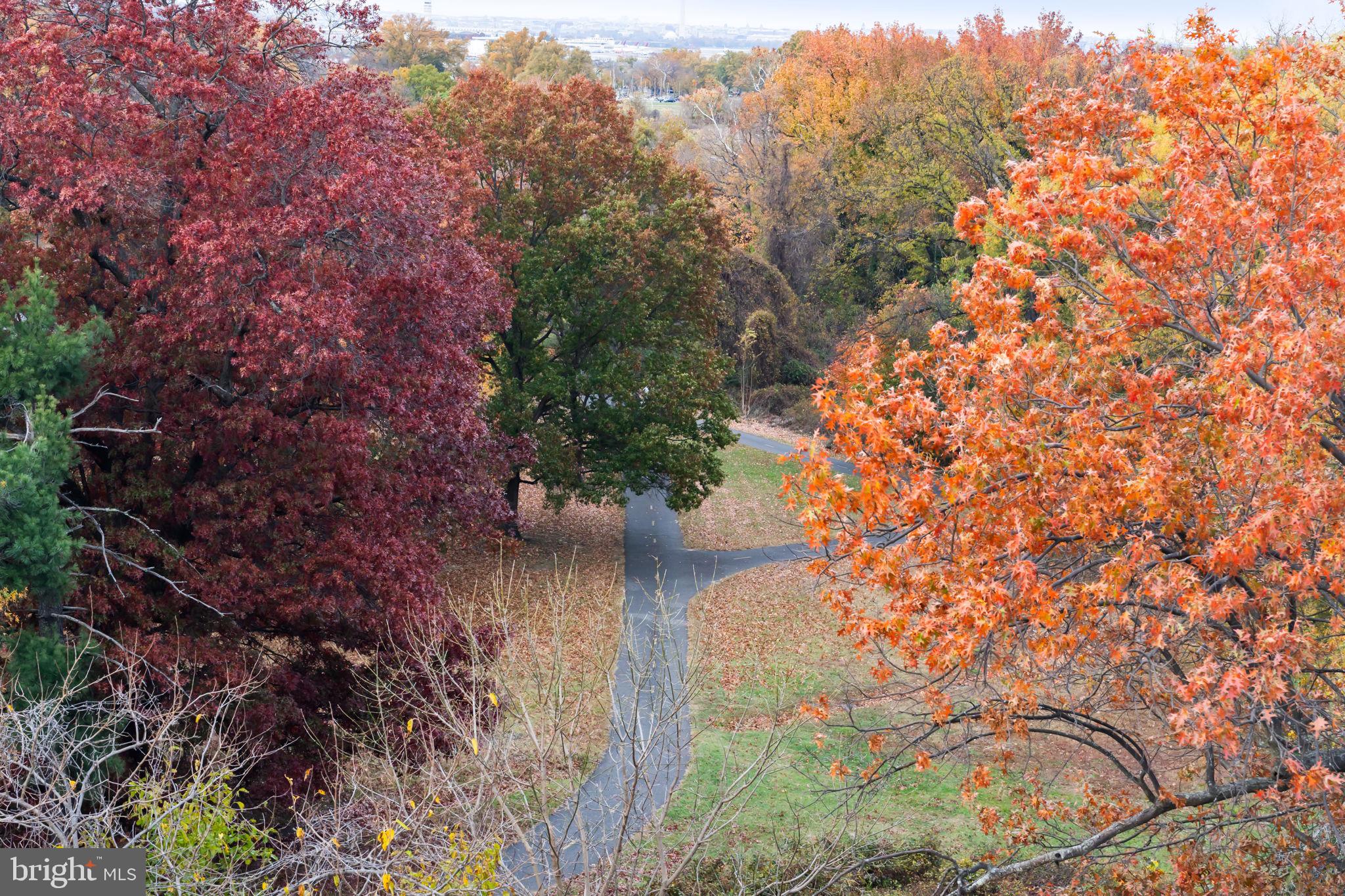OLD TOWN NORTH - Residential