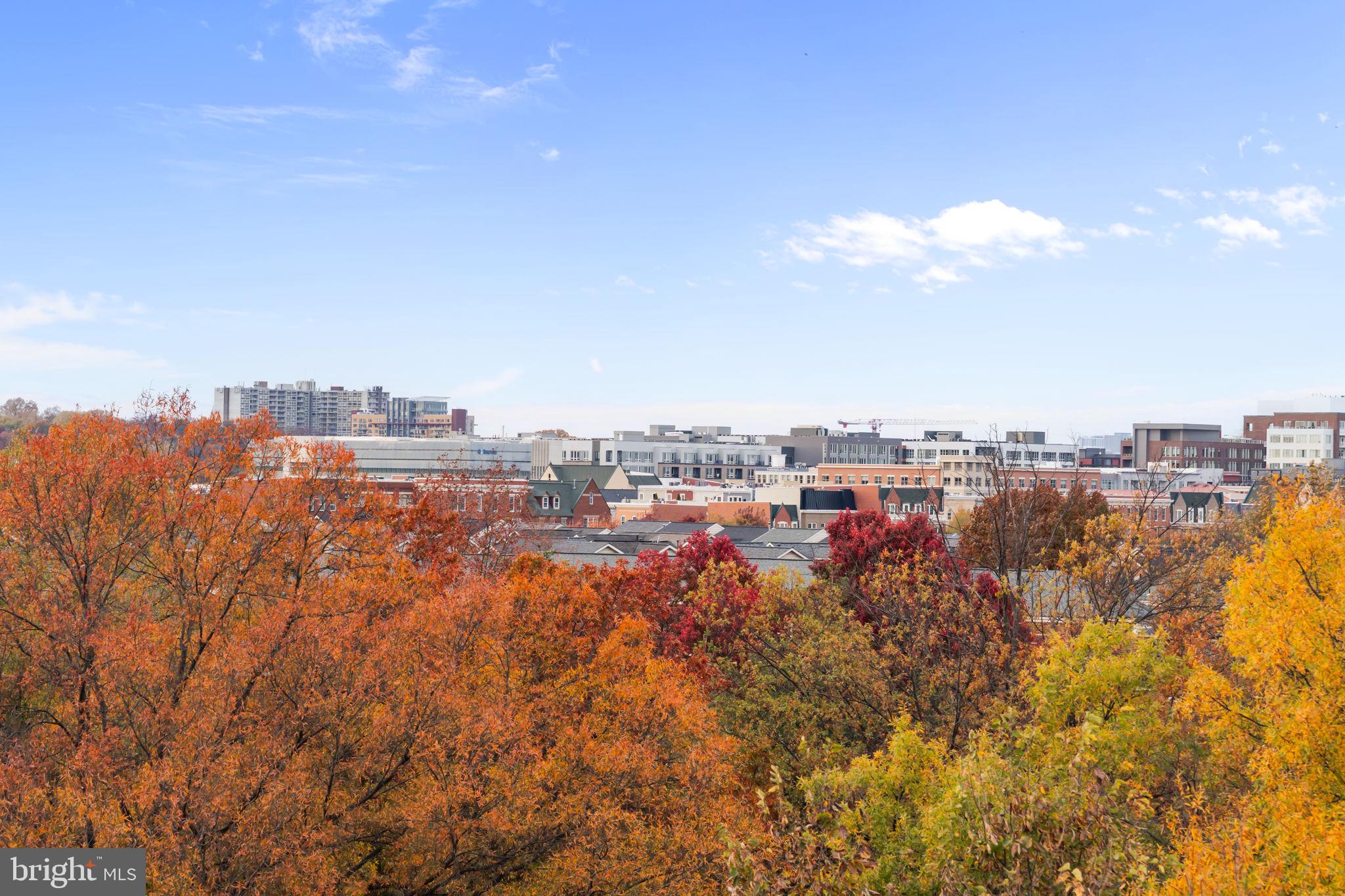 OLD TOWN NORTH - Residential