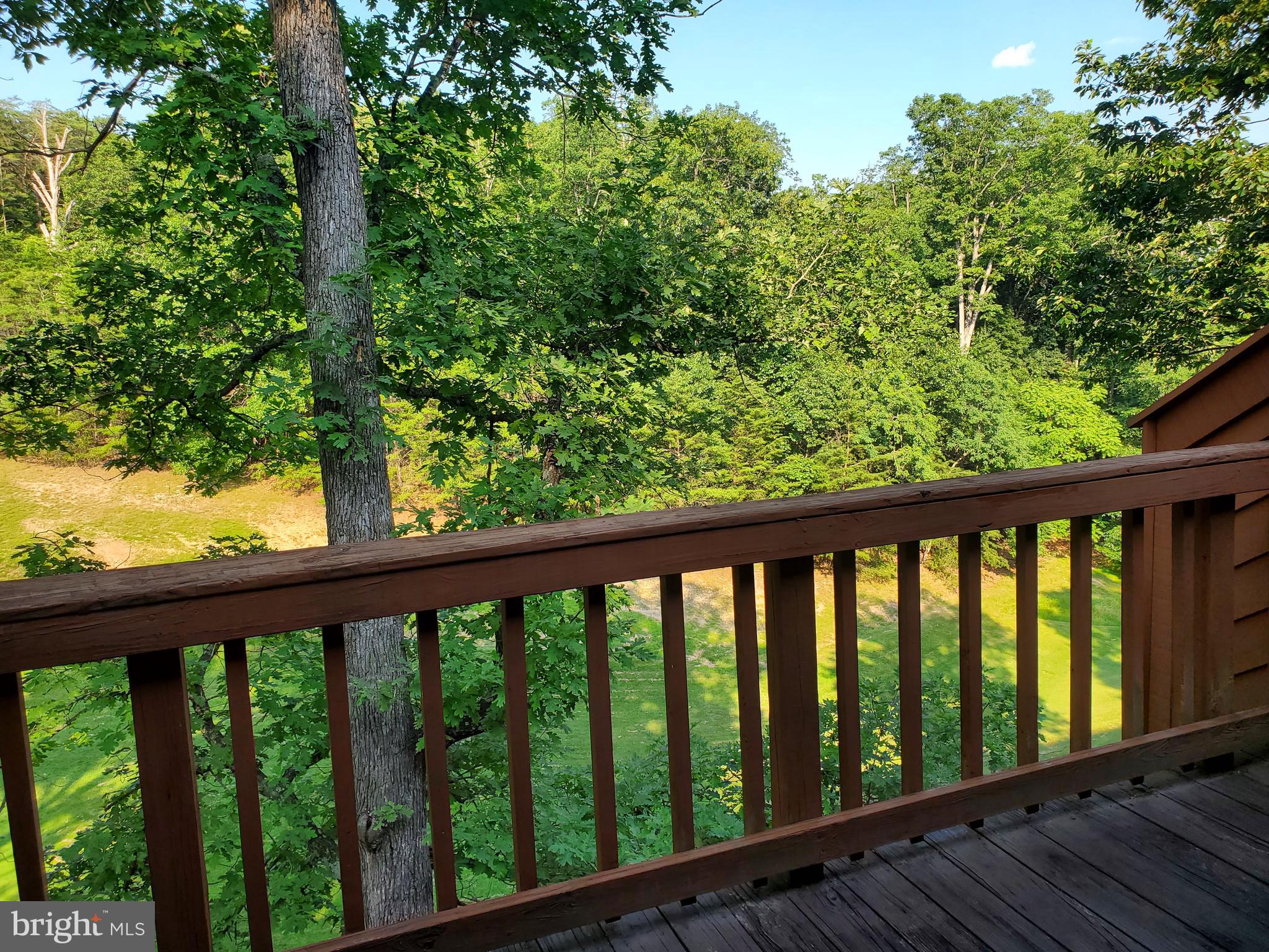 THE WOODS - Residential Lease