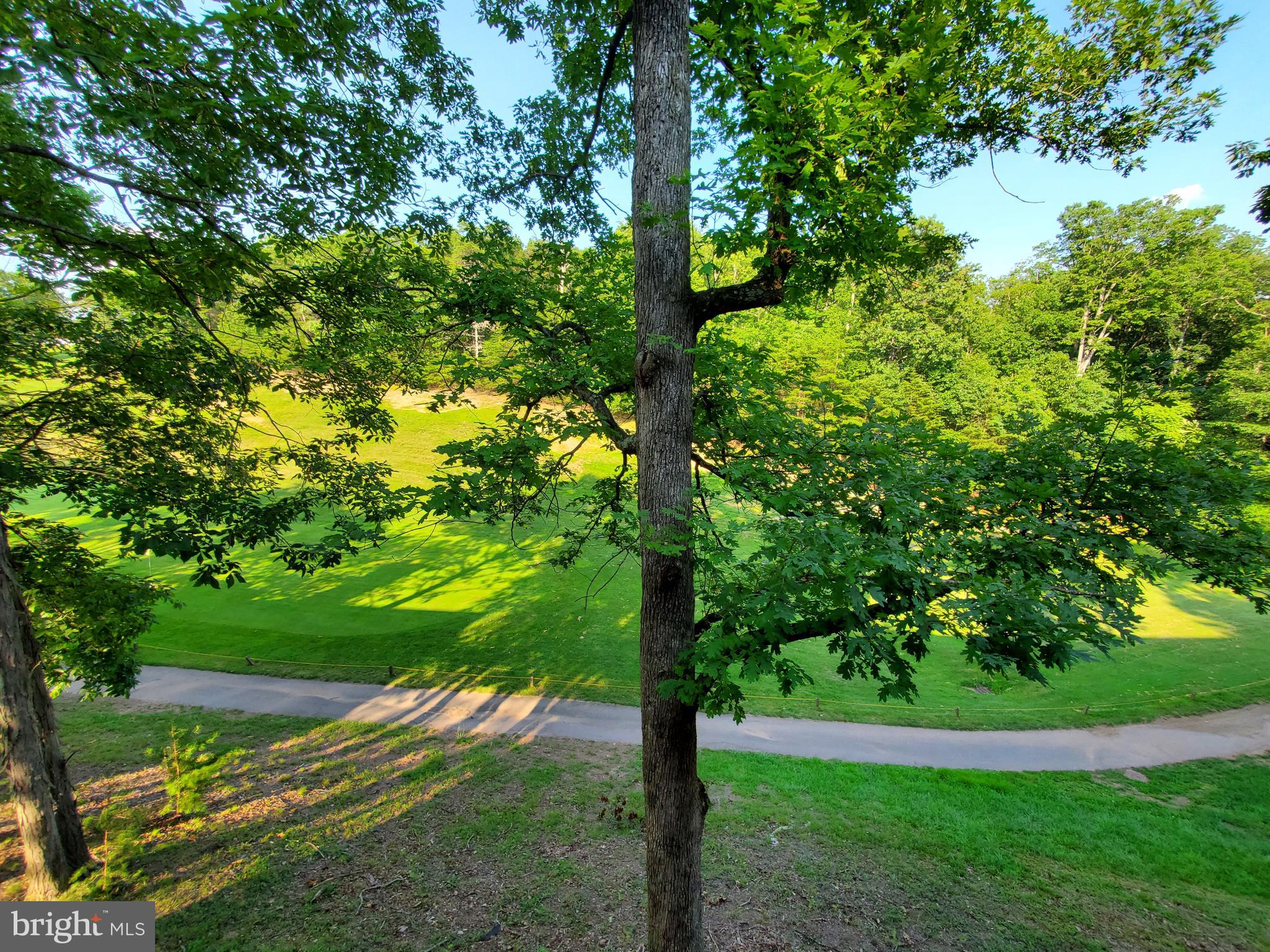 THE WOODS - Residential Lease